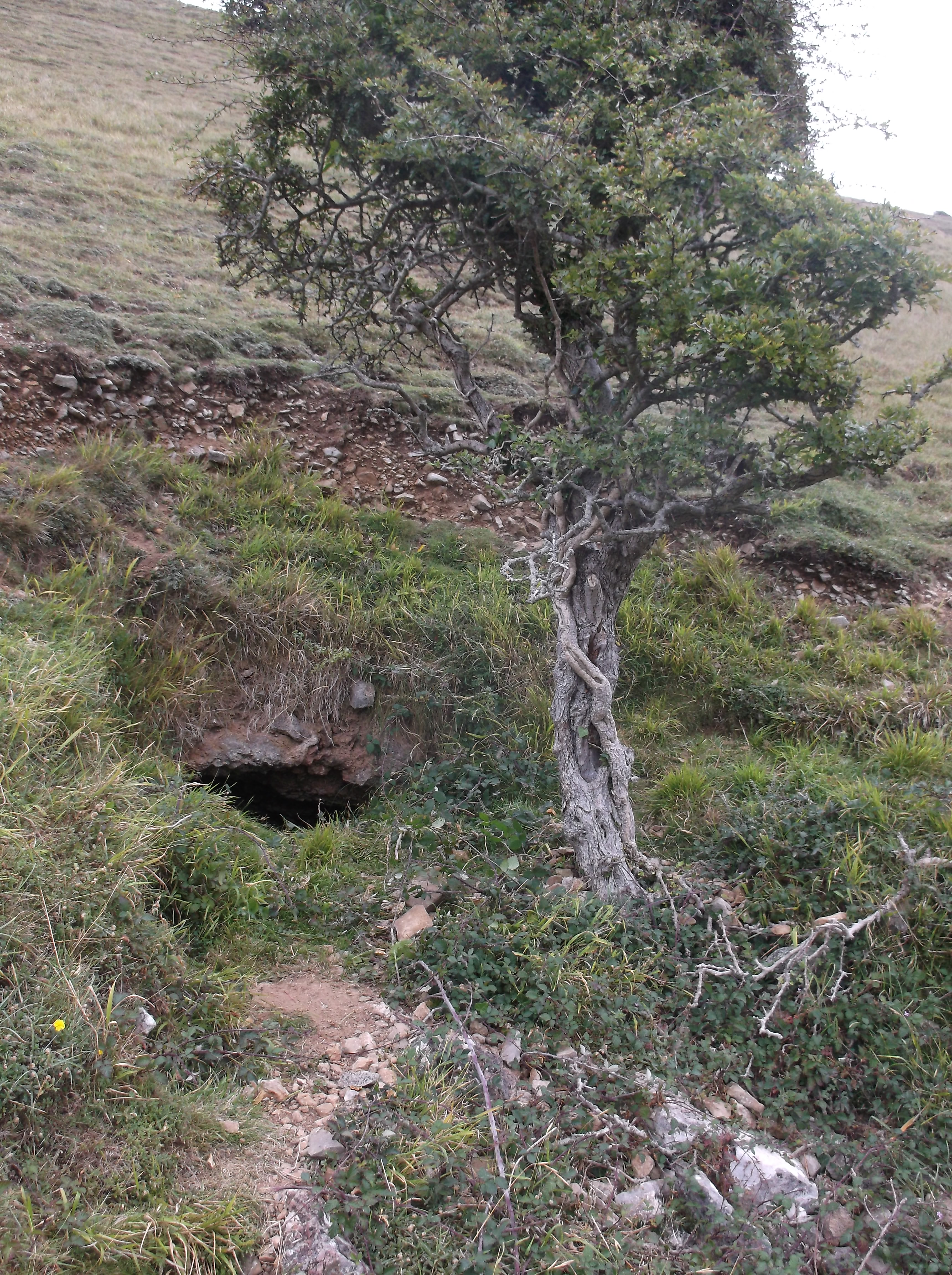 entrance below monks path